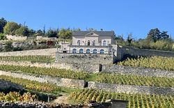 Wanderritt Weingüter & Schlösser