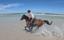 Südafrika - Wanderritt Agulhas