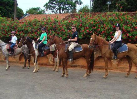 Tag 2 Fazenda Nova  -