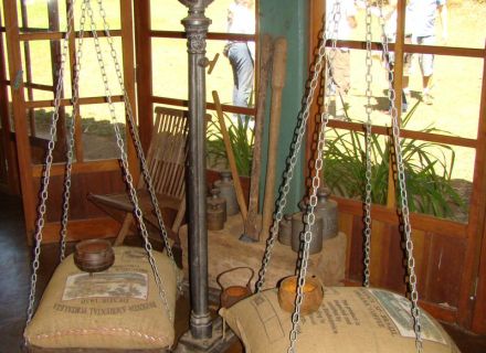 Tag 6 Fazenda Gordura -