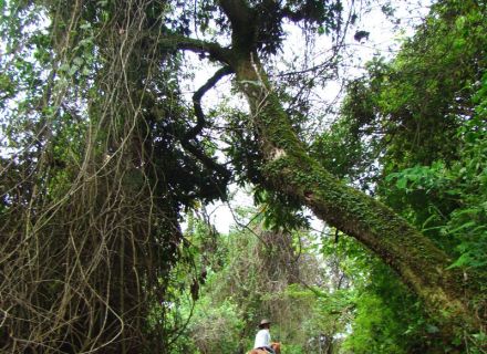 Tag 3 Fazenda Serra da Monica  -