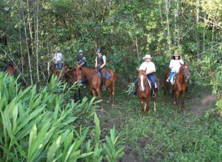 Tag 7 Fazenda Nova und Abreise  -