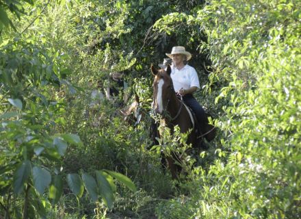 Tag 5 Fazenda Santo Antonio  -