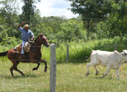 Tag 5 Fazenda Pequi-