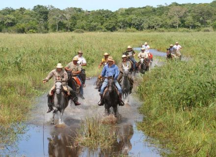Tag 4   Fazenda Aguapé – Fazenda Pequi-