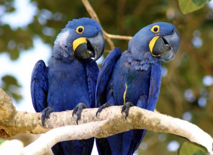 Tag 7  Abreise Fazenda Pequi-