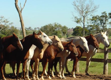 Tag 1 Anreise Fazenda Aguapé-
