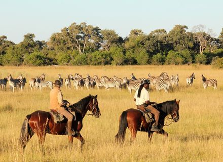 Tag 6  Okavango Delta - Kalahari Wüste -Reiter und Zebras