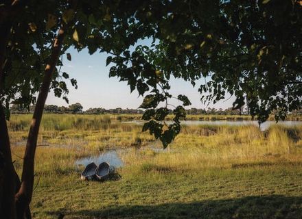 Tage 2 - 5  Okavango Delta-