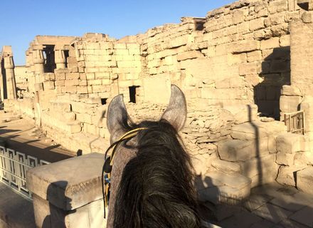 Tag 4 Ritt zum Habu Tempel und Besichtigungen in Karnak-Ritt zum Tempel Habu Medinet