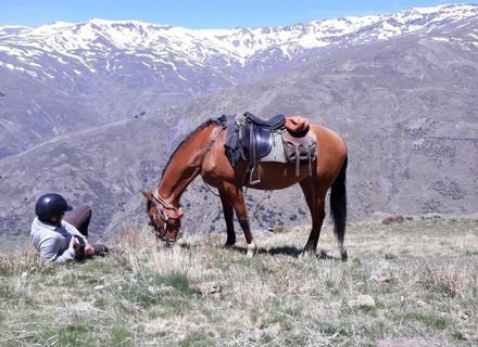 Tag 5 - Abreise-Reiturlaub Poqueira