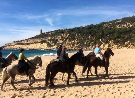 Tag 4   Zwischen Land und Meer-Reiturlaub an den Stränden von Cadiz