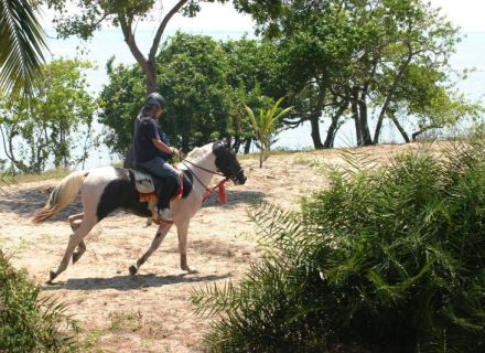 Tag 1 - Anreise und Fahrt nach Kalpitiya-