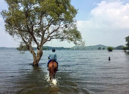 Tag 10 - Tissamaharama / 5. Reittag -Sri Lanka Kirinda Lagune