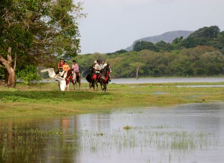 Tag 12 - Tissamaharama - Galle / 7. Reittag -Sri Lanka Tissamaharama