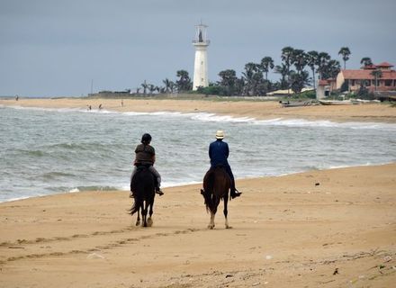Tag 2 - Negombo - Kalpitiya / 1. Reittag-Sri Lanka Kalpitiya