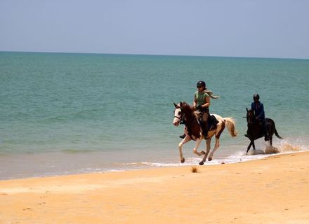 Tag 3  - Kalpitiya / 2. Reittag -Sri Lanka Kalpitiya Puttalam 