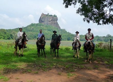 Tag 6 - Sirigiya - Kandy / 4. Reittag-Sri Lanka Sigiriya Felsen