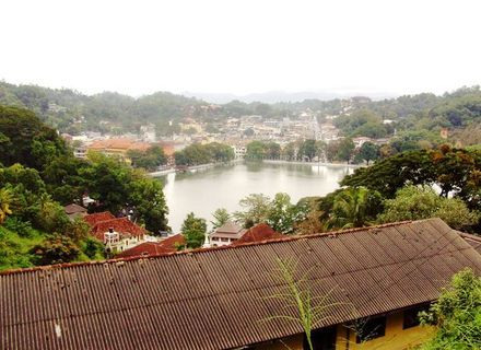 Tag 7 - Kandy-Sri Lanka Kandy