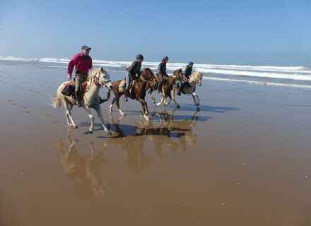 Tag 7 - Galopp am Atlantik-Galopp am Atlantik 