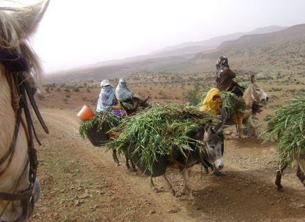Tag 8 - Abreise-Berberfrauen auf dem Weg zum Markt