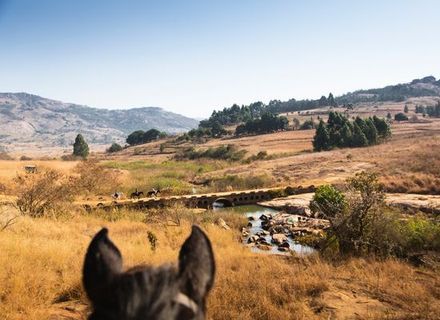 Tag 1 -  Anreise -Eswatini Mlilwane