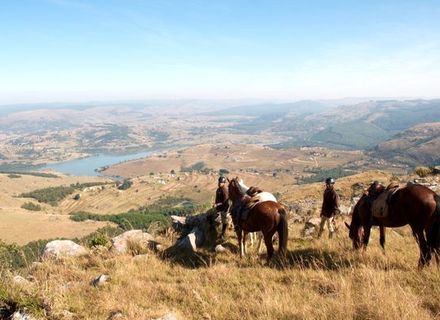 Tag 4 - Mlilwane Rest Camp // EmaSomini Fly Camp-Mlilwane