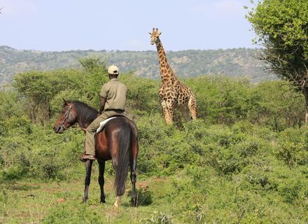 Tage 2 & 3  -Pakamisa