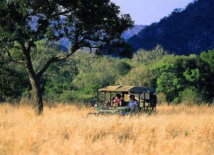 Game Drives-