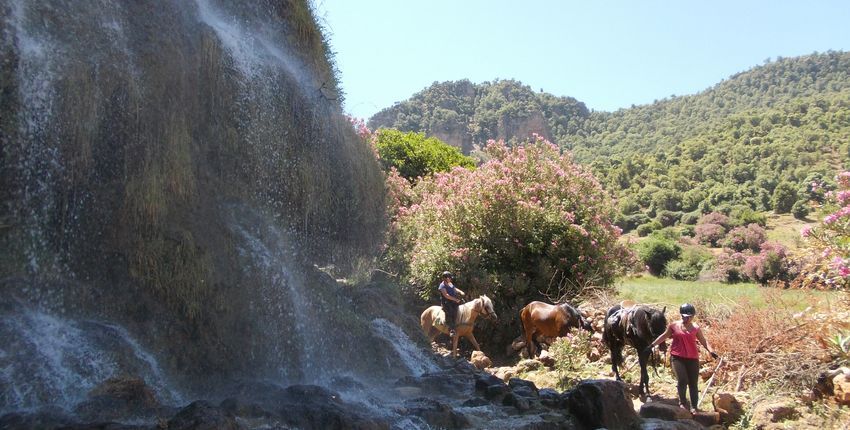 Wanderritt im Mittleren Atlas 