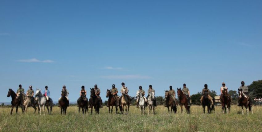 Reit Safari Feedback