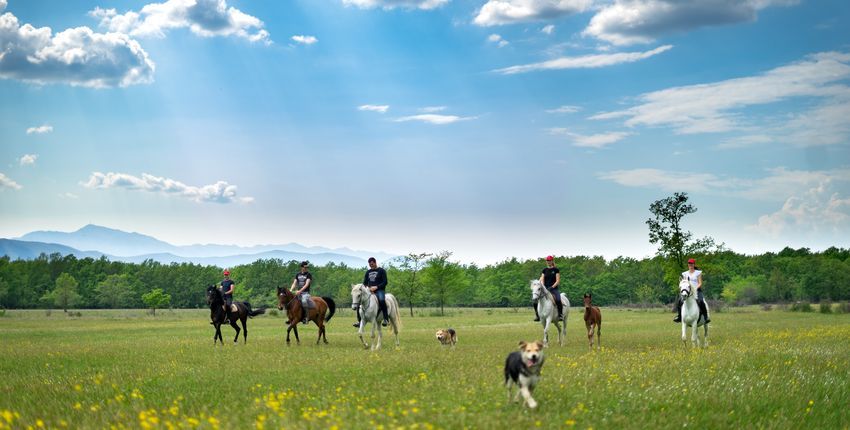 Reiturlaub in der Herzegovina 