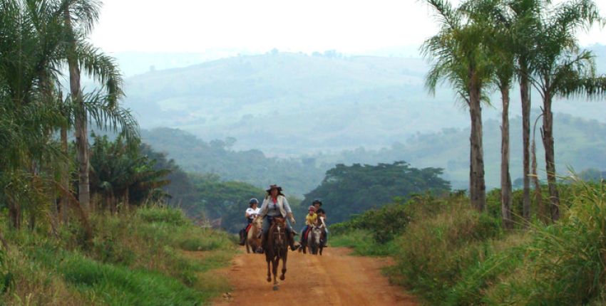 ​Wanderritt durch Kaffee-Plantagen