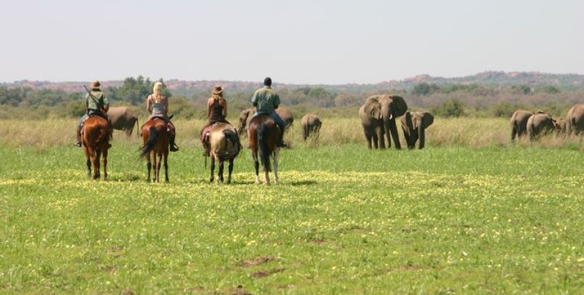 ​Reitsafari Tuli im Tuli Block
