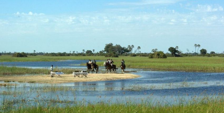 Reitsafari & Reiturlaub im Okavango Delta