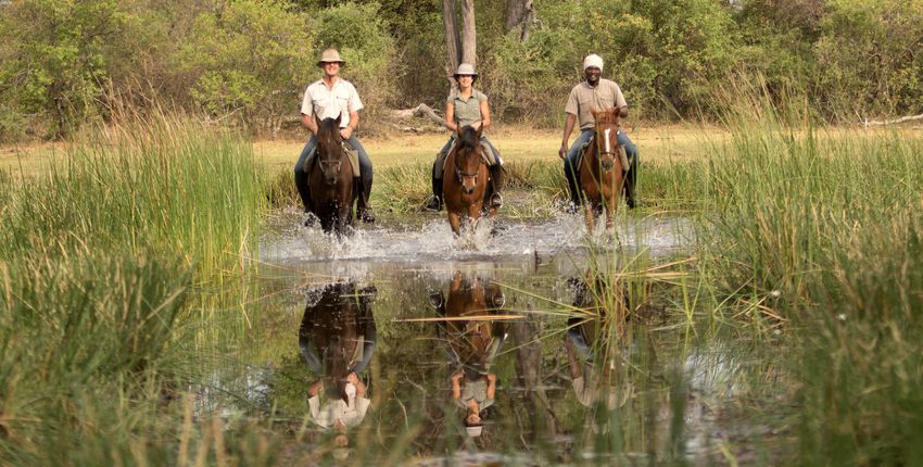 Reitsafari Delta & Desert