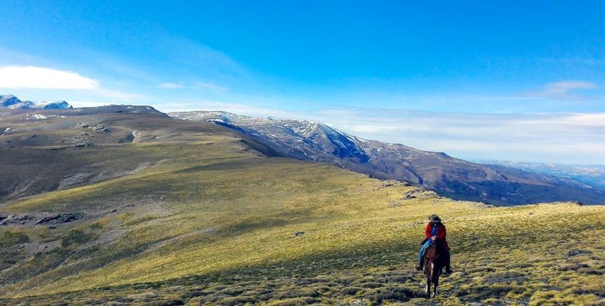 Wanderritt La Buena Vista 