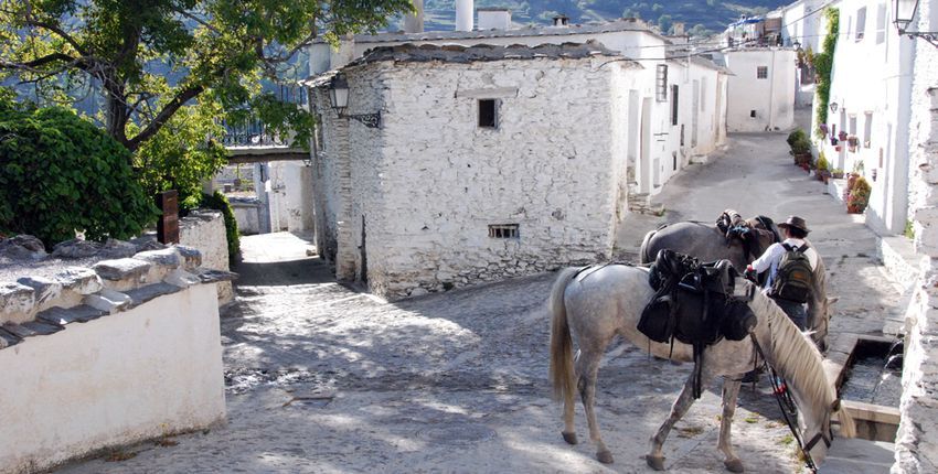 Wanderritt La Alpujarra