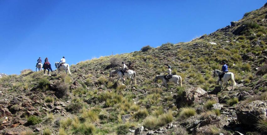 Wanderritt El Sulayr