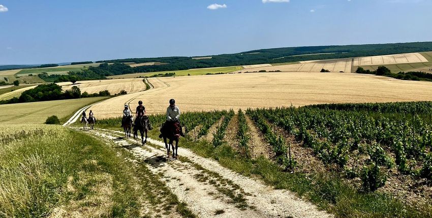 Wanderritt Weingüter & Schlösser in Burgund