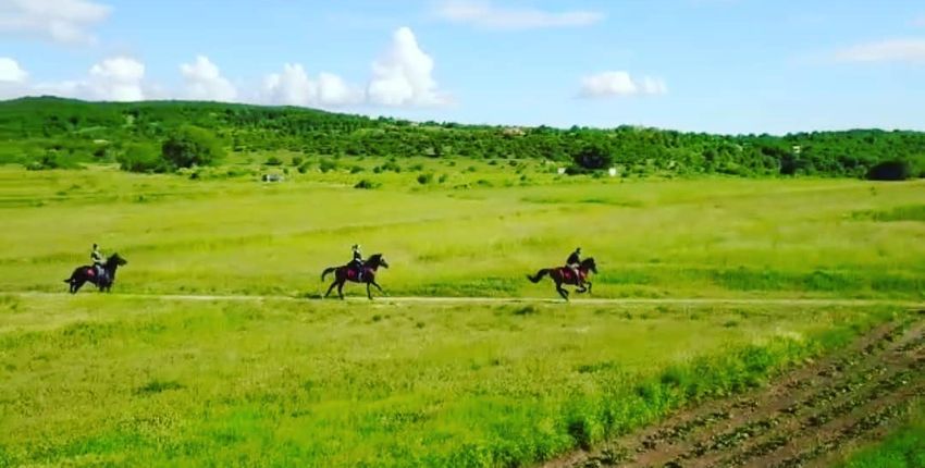 Reiturlaub im dalmatinischen Hinterland