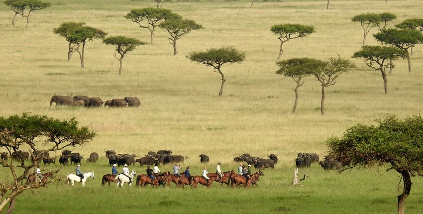 Reitsafari Maasai Mara Conservancies 