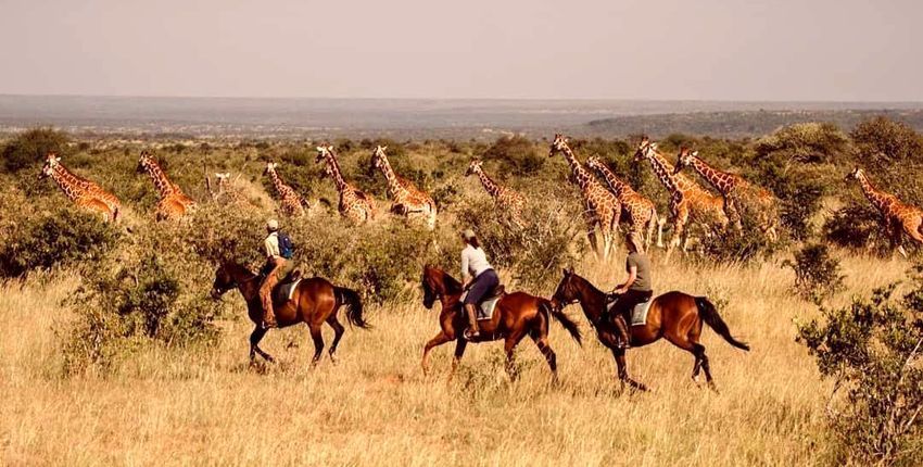 Reitsafari Sosian Laikipia 