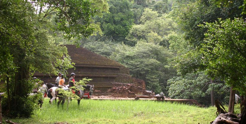 Sri Lanka - Kaludiya Pokuma,