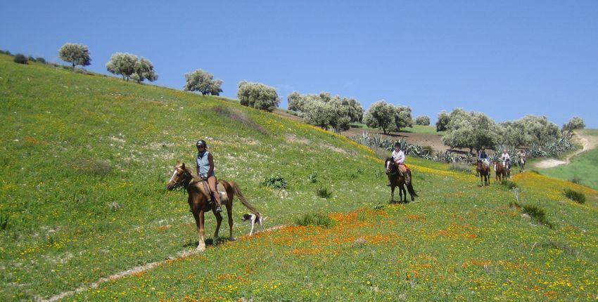 Wanderritt Königsstädte Marokko