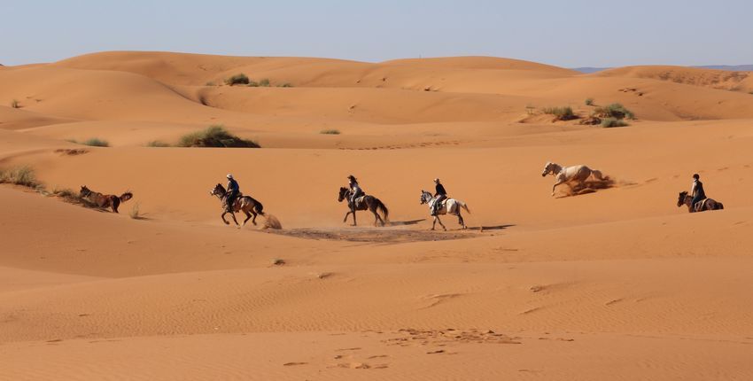 Wanderritt Oasen & Sanddünen im Großen Süden