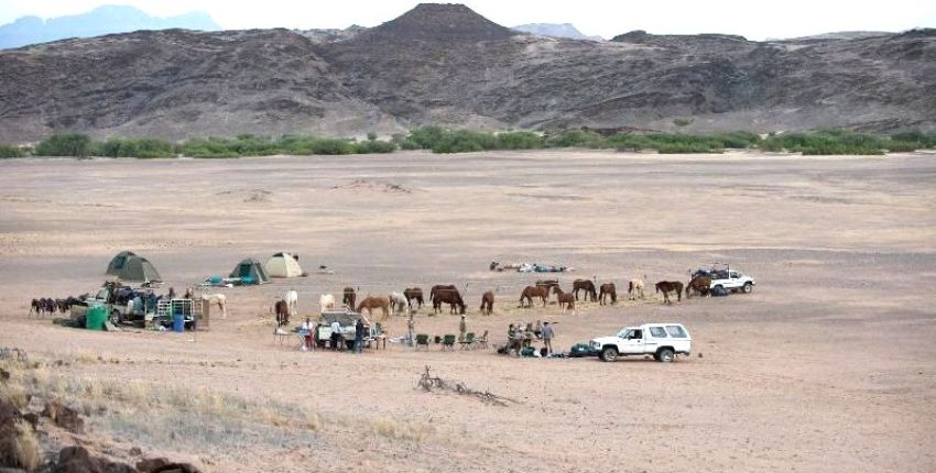 ​Reitsafari Damara Elephant Ride