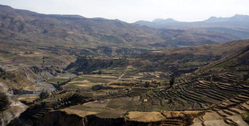 ​Wanderritt Colca Classic im Colca Canyon