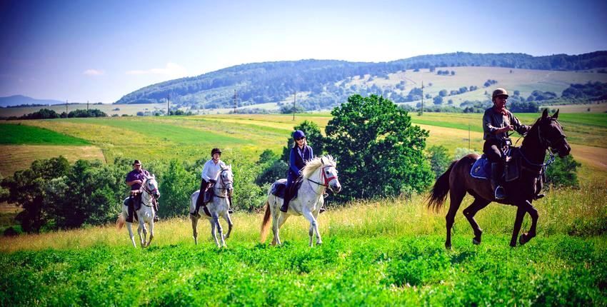 Wanderritt in Transsylvanien