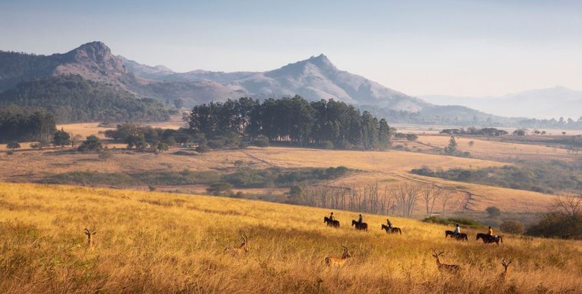 Eswatini - Mlilwane Wanderritt